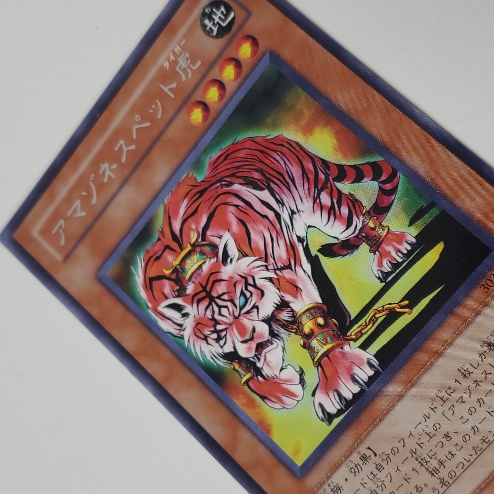 YuGiOh 2002 Champion of Black Magic 303-009 Rare Amazoness Tiger Japanese - Picture 5 of 6